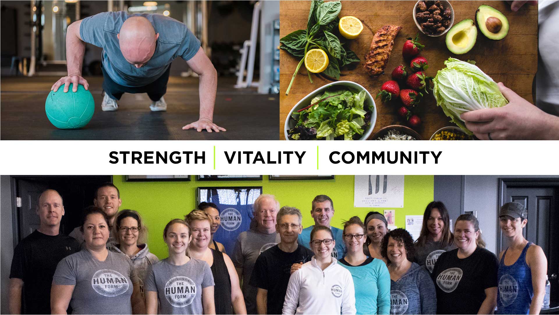 Our Fitness Team - Vitality Health & Fitness